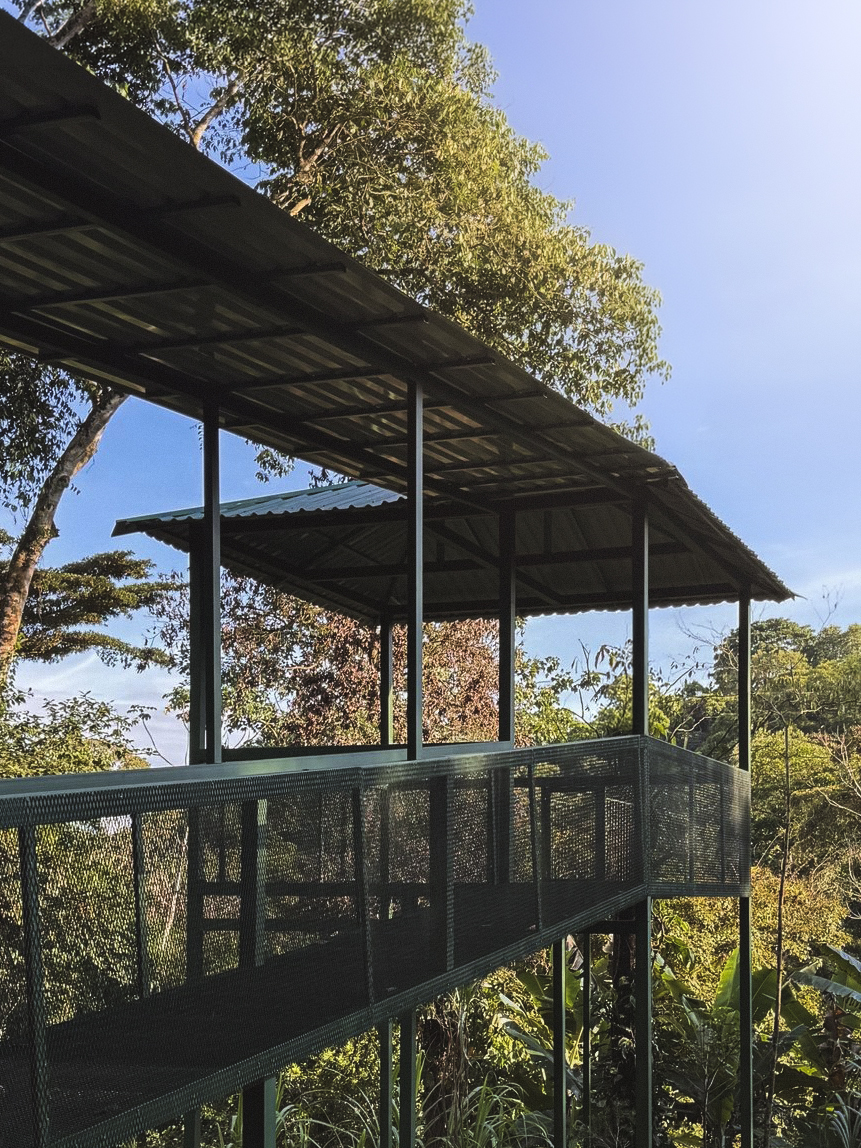 Mirador de aves
